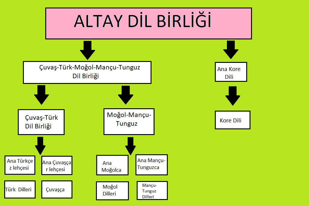 Türk Dil Ailesi